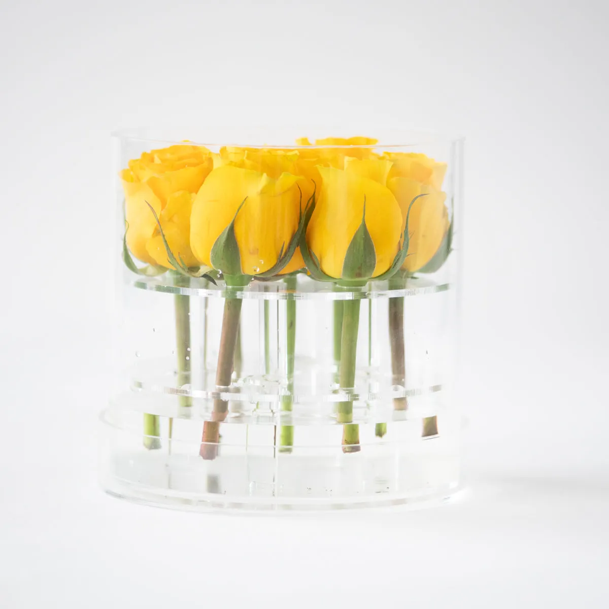 7 Roses Round