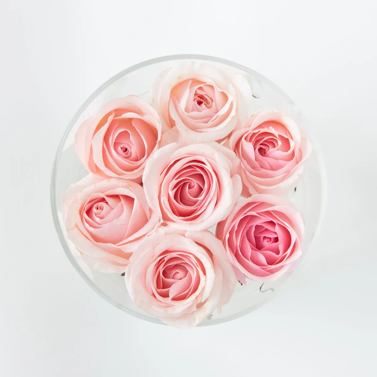 7 Roses Round