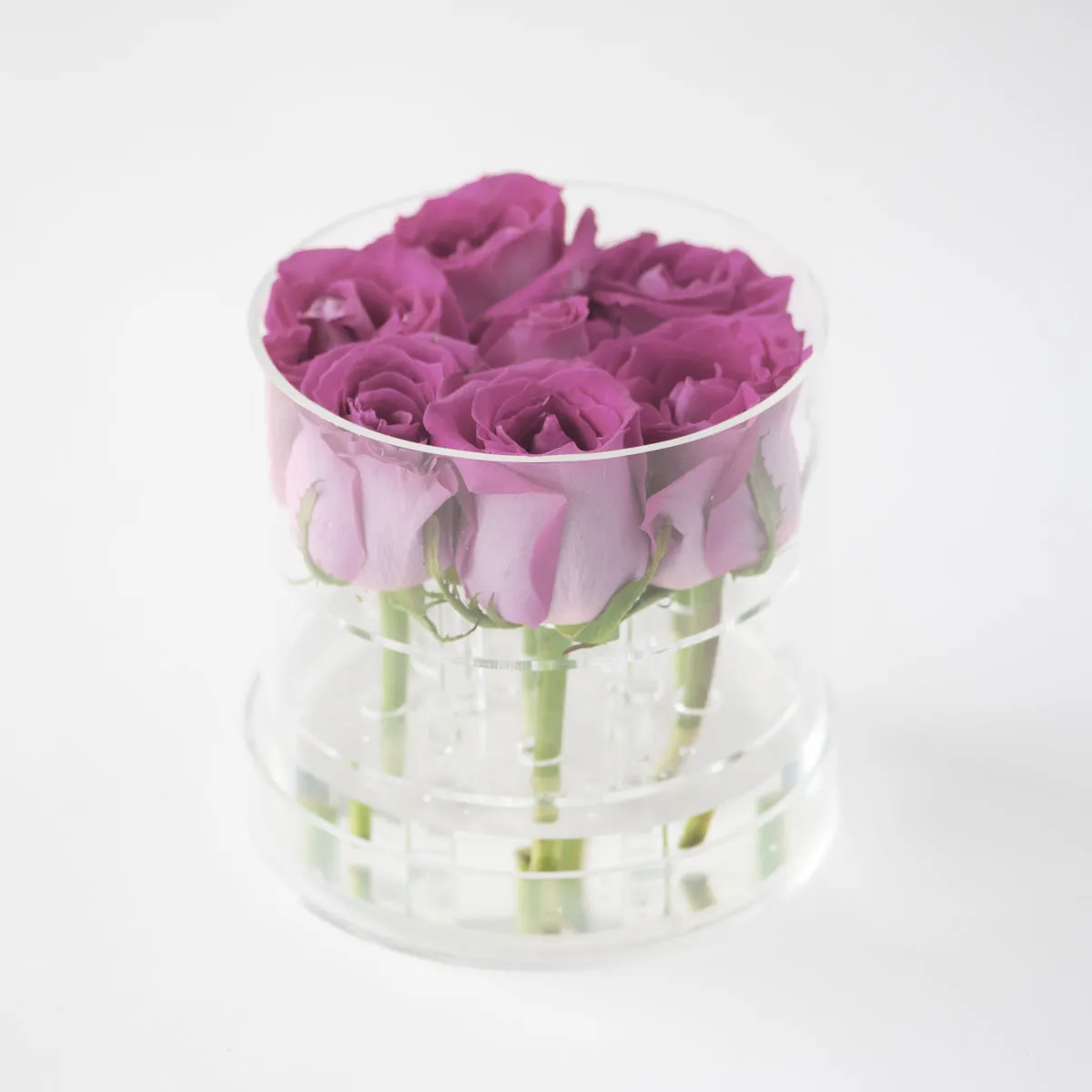 7 Roses Round