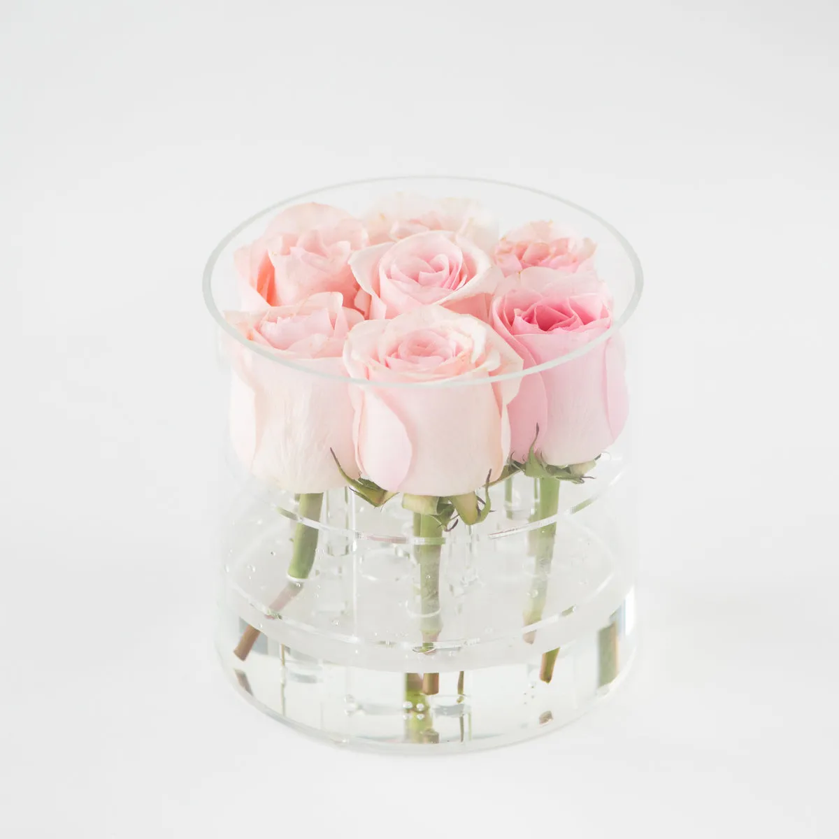 7 Roses Round