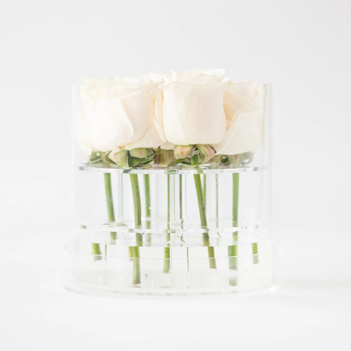 7 Roses Round