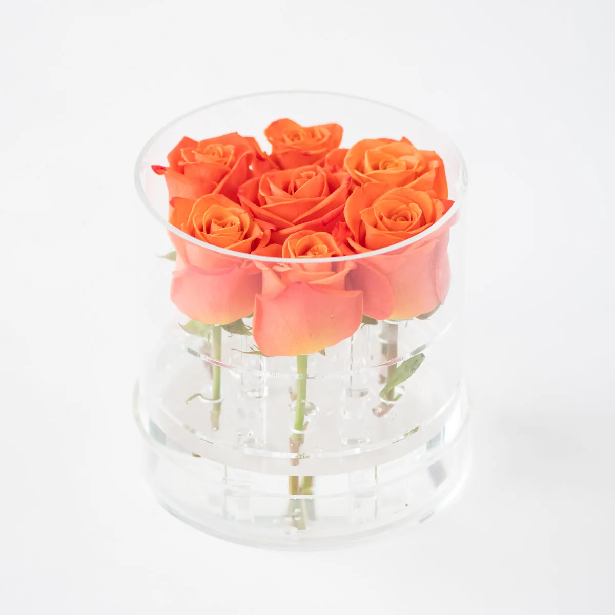 7 Roses Round