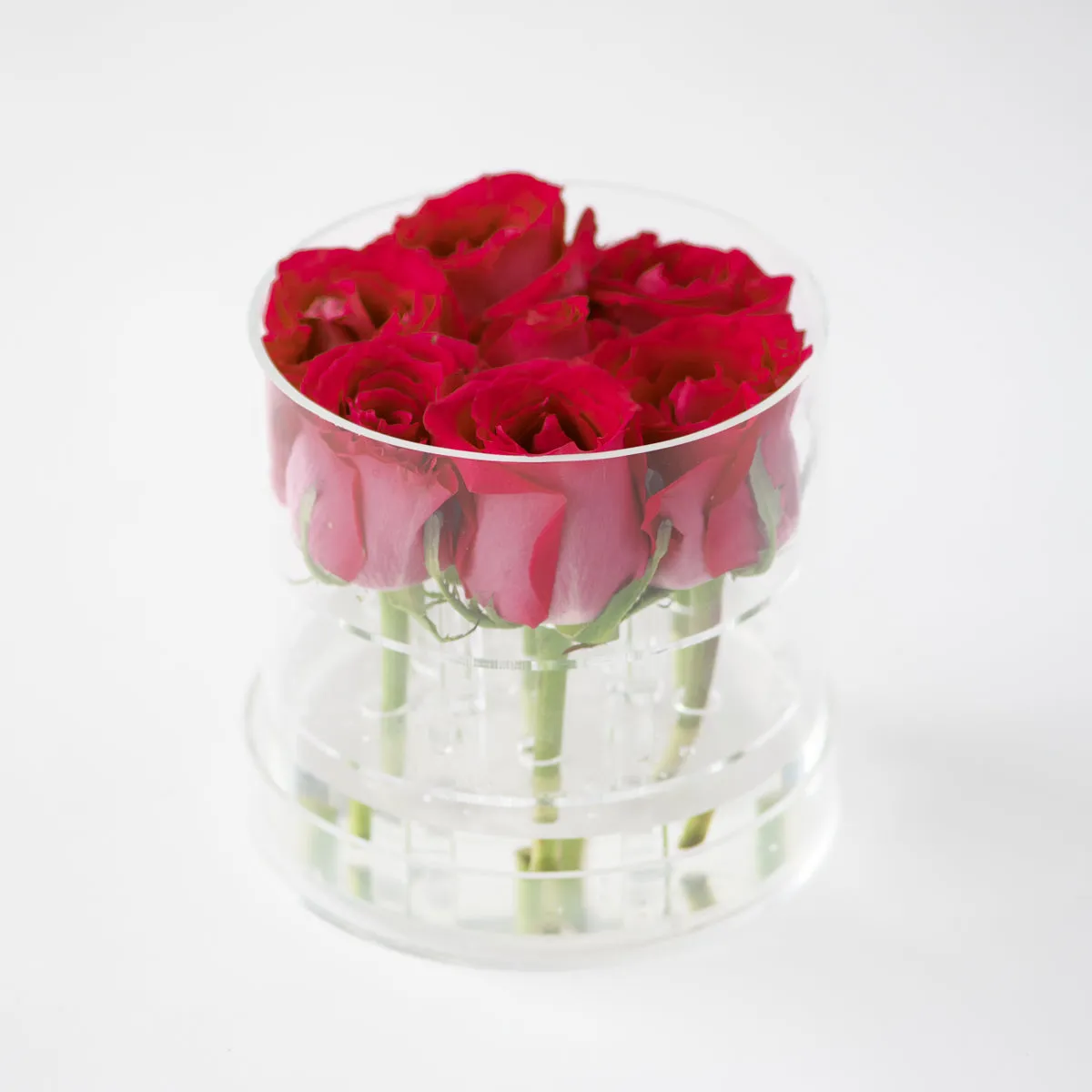 7 Roses Round