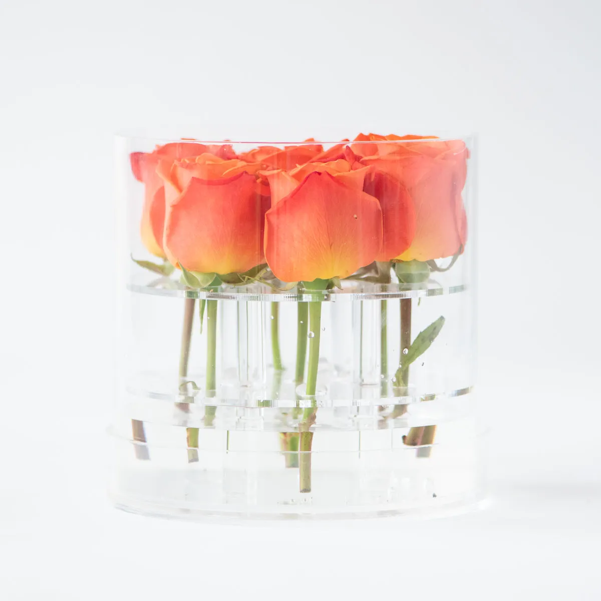7 Roses Round