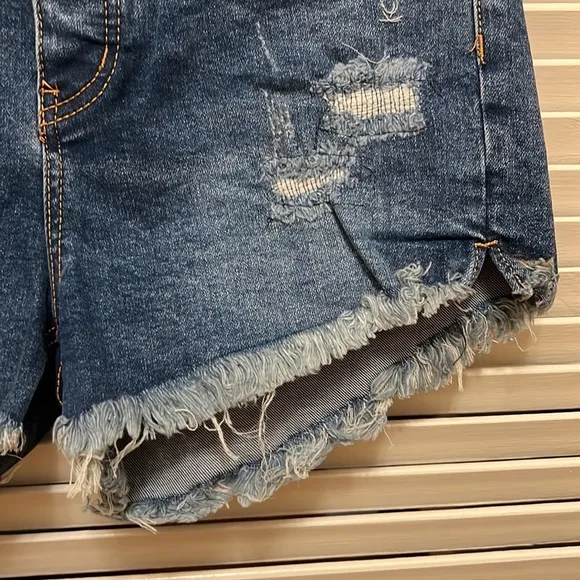 8. Free People Curvy Vintage High Rise Denim Shorts in Lolita Blue