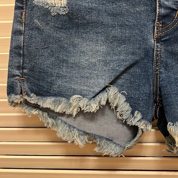 8. Free People Curvy Vintage High Rise Denim Shorts in Lolita Blue