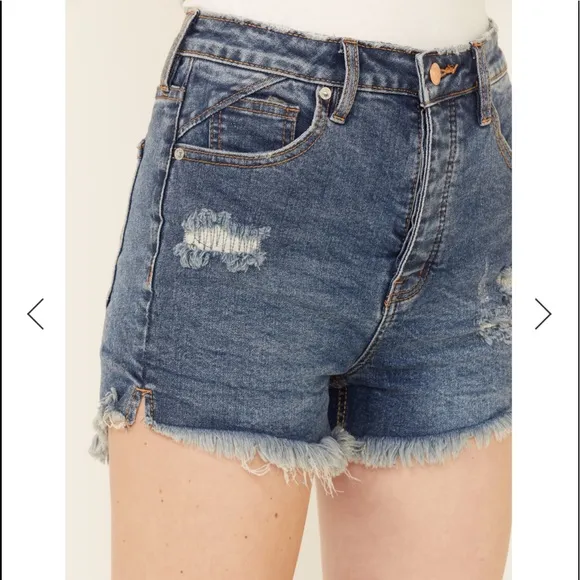 8. Free People Curvy Vintage High Rise Denim Shorts in Lolita Blue
