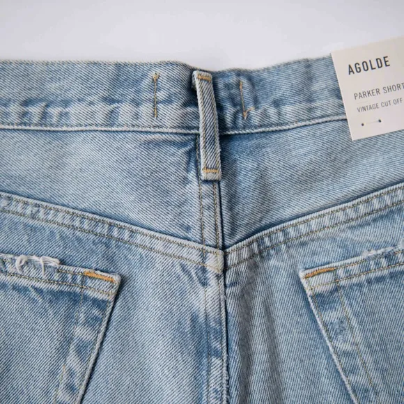 Agolde Parker Vintage Cutoff Button Fly Denim Jean Shorts in Swapmeet
