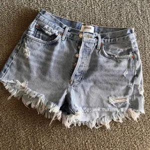 AGOLDE | Parker Vintage Cutoff Shorts (Swapmeet)