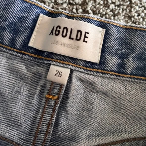 AGOLDE | Parker Vintage Cutoff Shorts (Swapmeet)
