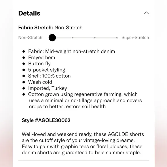 AGOLDE | Parker Vintage Cutoff Shorts (Swapmeet)