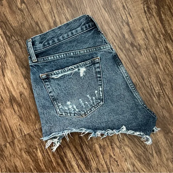 AGOLDE Parker Vintage Shorts