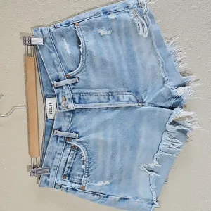 AGOLDE Vintage Parker Cut Off Shorts.