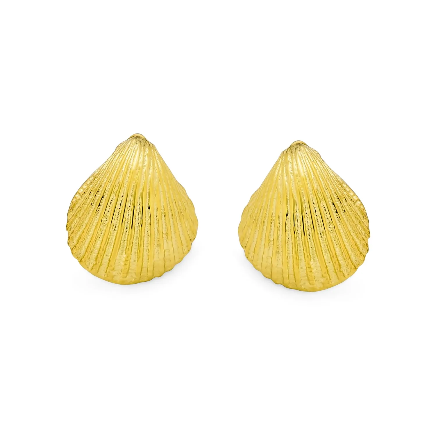 Cockle Seashell Stud Earrings Gold Plated Silver Sterling Silver
