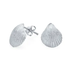 Cockle Seashell Stud Earrings Gold Plated Silver Sterling Silver