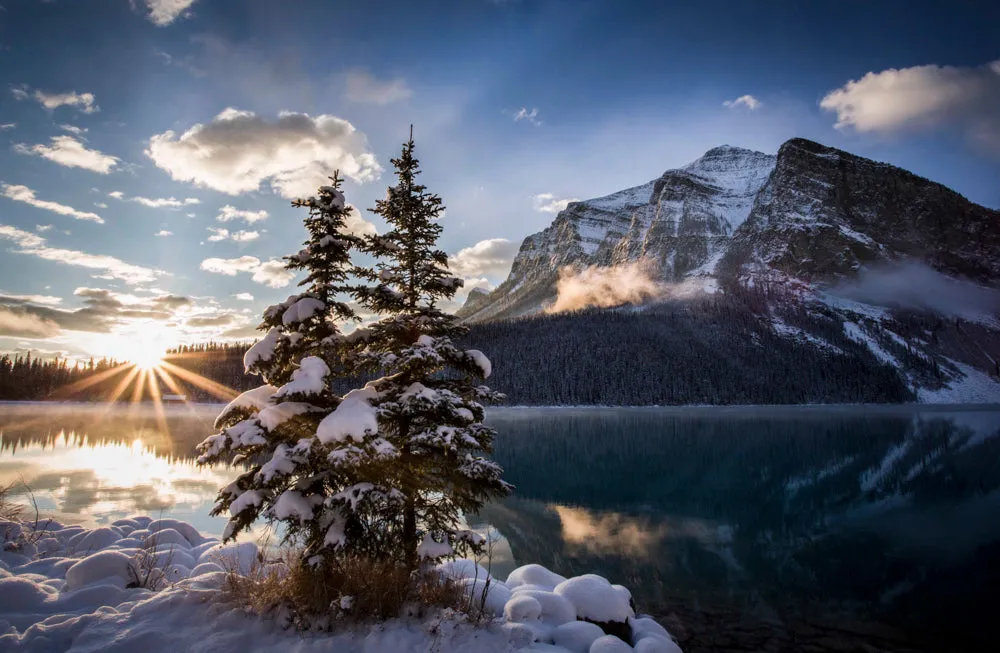First Light