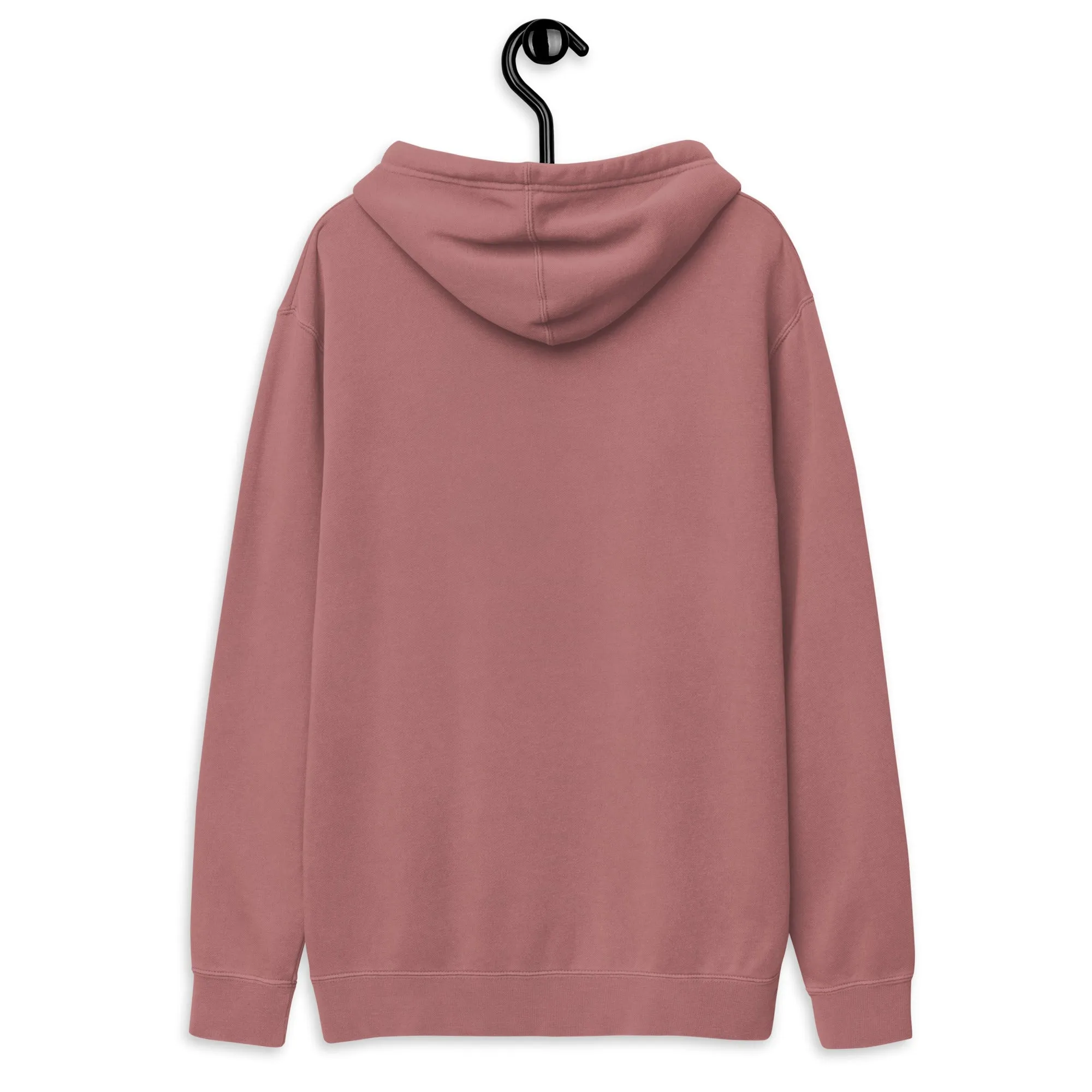 NUS hoodie