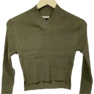 Point V-Neck Cropped Sweater in Palm Leaves