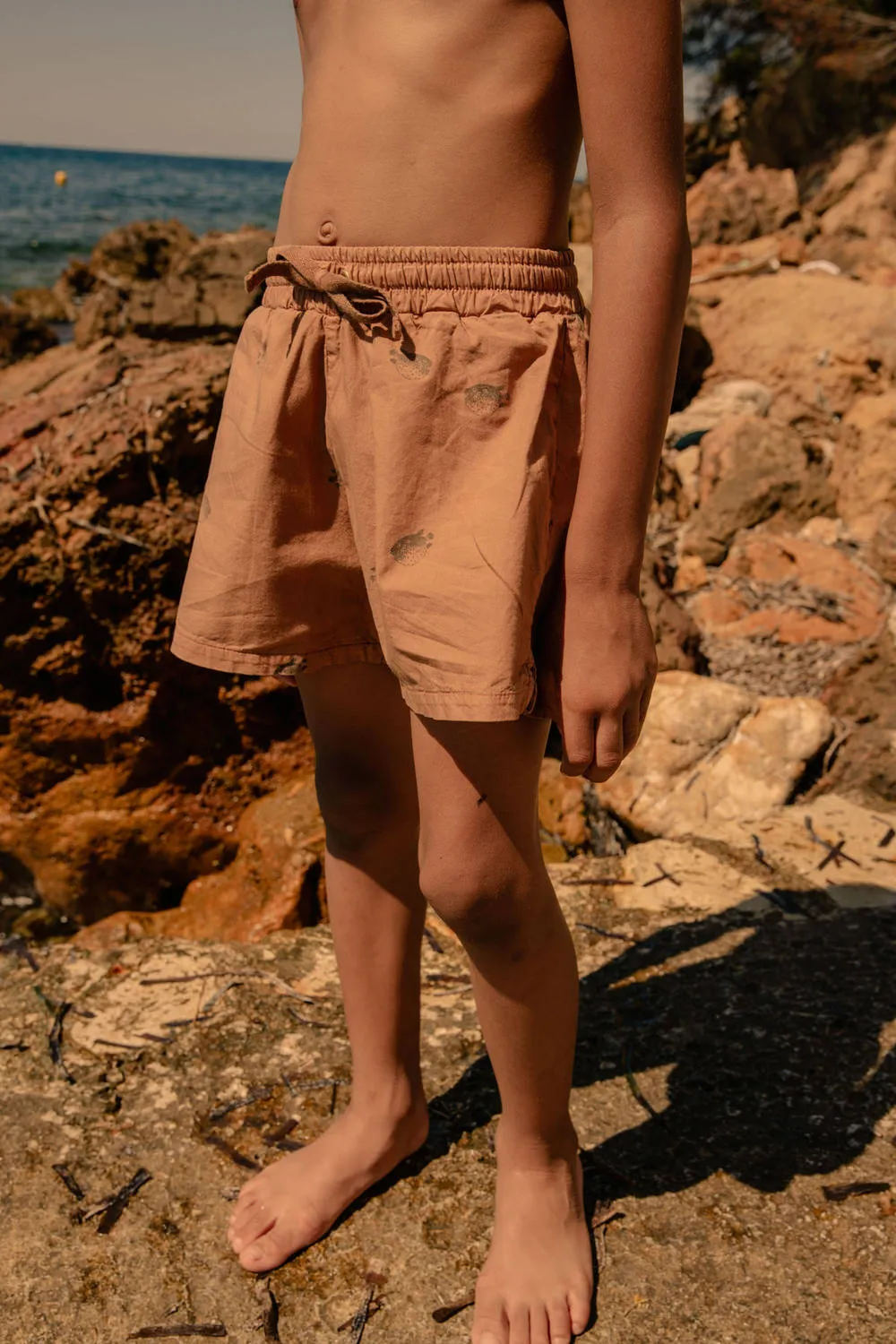 Short de Bain Chico Poisson Boule Indian Tan Brun