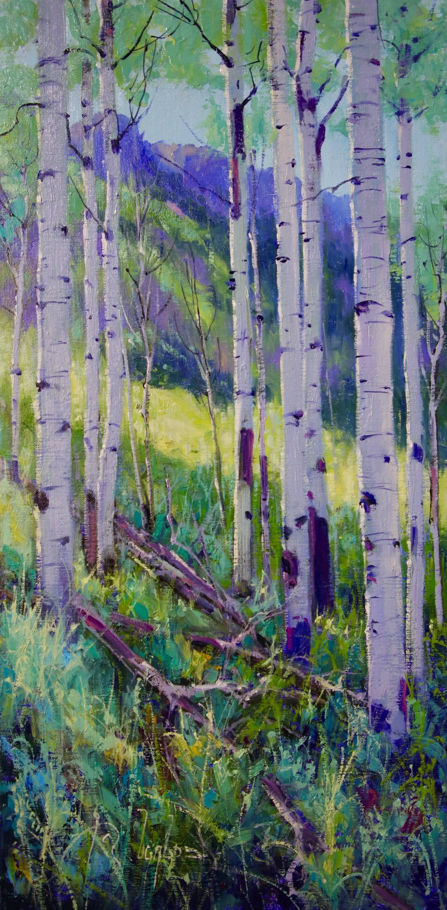 Spring Light
